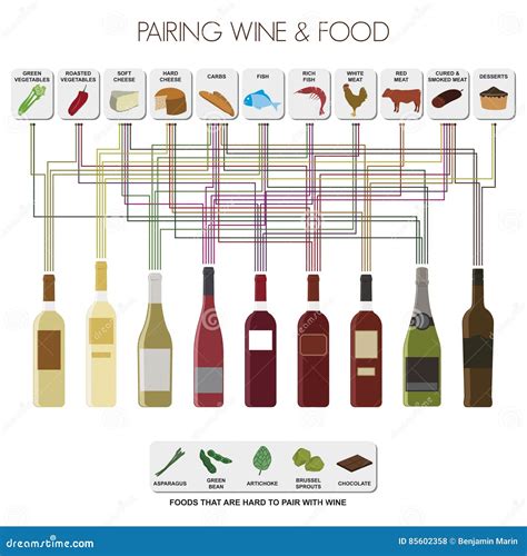 Pairing wine and food stock vector. Illustration of meat - 85602358