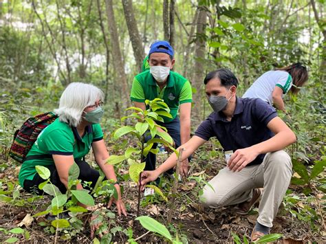 Aboitiz's Environmental Programs in the Philippines