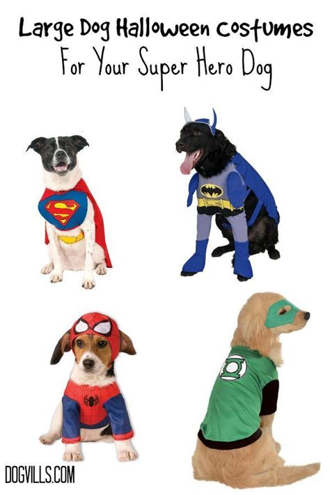 Large Dog Halloween Costumes for Your Super hero | Dog costumes halloween large, Dog halloween ...