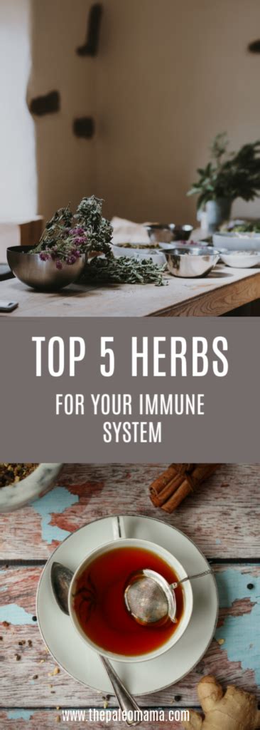 Top 5 Herbs for Your Immune System - The Paleo Mama