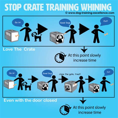 Stop Crate Training Whining