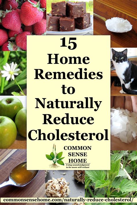 Foods That Help Lower Cholesterol | Examples and Forms