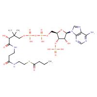 butyryl-CoA (CHEBI:15517)