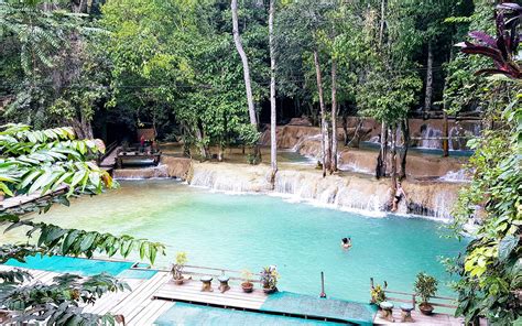 The ultimate guide to Tad Sae Waterfall, Luang Prabang 2024