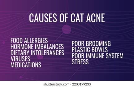 Causes Cat Acne Vector Illustration Medical Stock Vector (Royalty Free) 2203199233 | Shutterstock