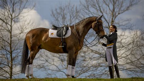 Los caballos de los jinetes que participarán en las pruebas de saltos y ...