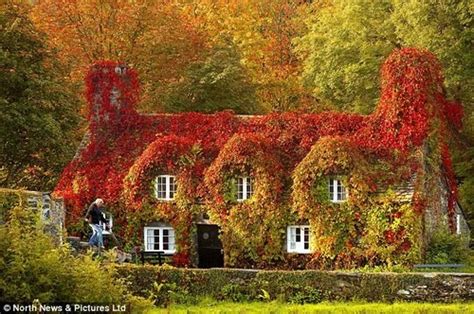 Autumn in England | Autumn home, Scenery, Landscape