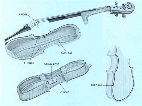 Founding a Family of Fiddles - Sec. 1