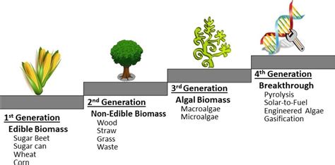 Biofuels : [Short Note] 2023 - Licchavi Lyceum