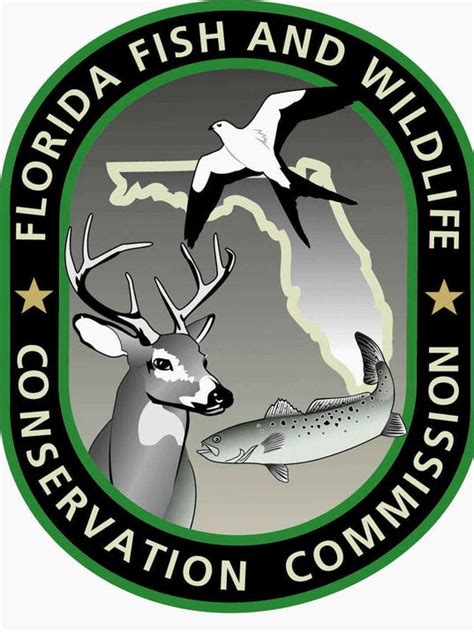 Florida Fish and Wildlife wants public feedback on species