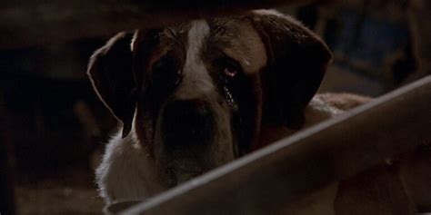 Cujo: 10 Behind-The-Scenes Facts About The Vicious Stephen King Movie ...