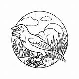 Premium Vector  Crow coloring Pages Bird outline vector For sketch template