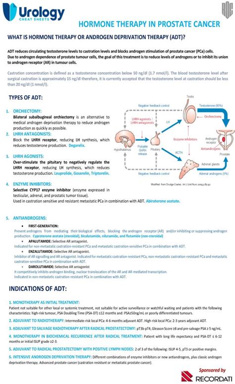 Hormone Therapy (androgen deprivation) in prostate cancer - Urology ...