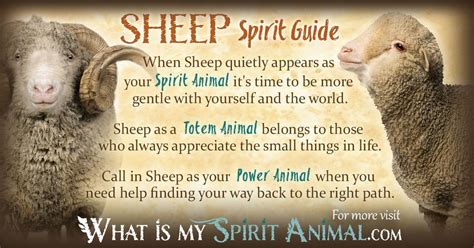 Sheep & Ram Symbolism & Meaning | Spirit, Totem & Power Animal