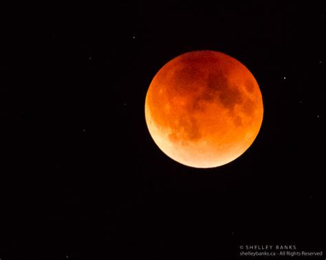 Prairie Nature: Super Blood Harvest Moon Lunar Eclipse: September 2015