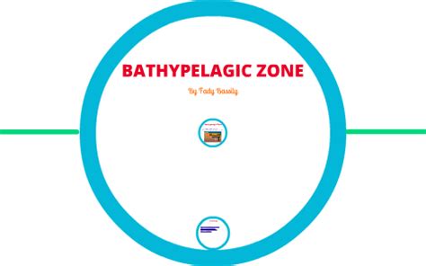 Bathypelagic Zone by Fady Bassily on Prezi