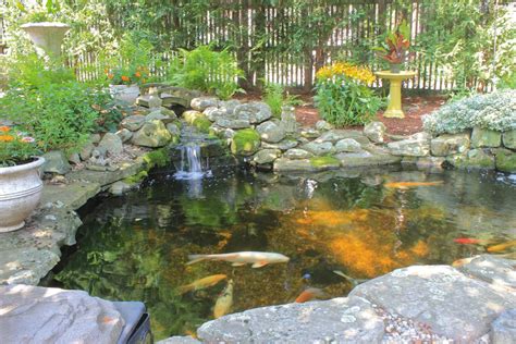 Backyard Koi Ponds and Water Gardens are a Growing Trend