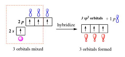 Hybridization Types And Explanation - veridiczpo6e