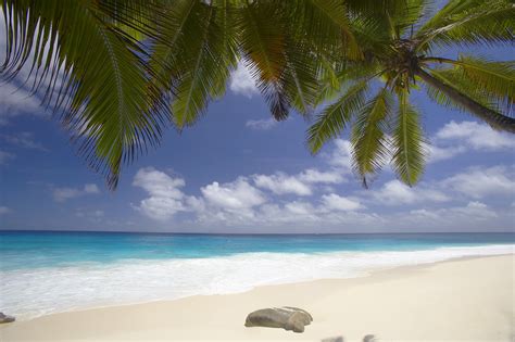 White Sand Beach Wallpaper - WallpaperSafari