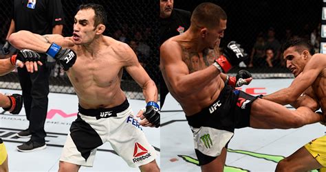 UFC 229 Strategy Guide: Tony Ferguson vs Anthony Pettis Will be an ...