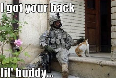 Happy “Veterans Day Memes” Veterans Day Funny Meme For Facebook - Happy ...