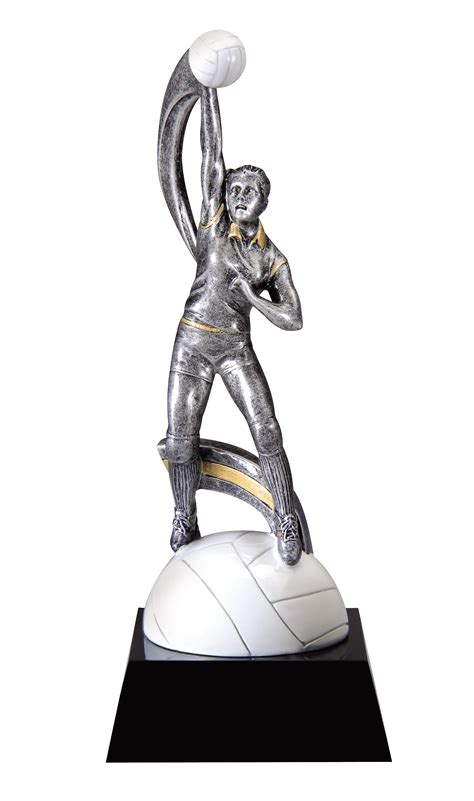 Resin Male or Female Volleyball Trophy. Includes Engraved Plate - Best ...