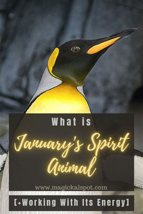 January's Spirit Animal: Working with Its Energy | Spirit animal, Spirit animal meaning, Spirit