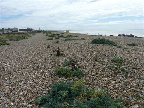 Shoreham-by-Sea Beach Beach, quite simply a stunning place