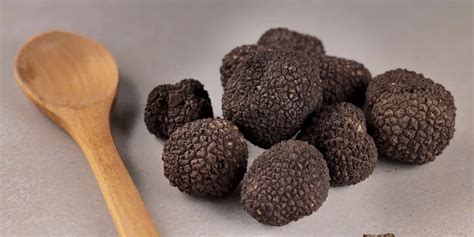 Truffles types | Truffle Oil: A Luxurious Culinary Elixir