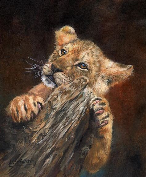 Lion Cub #5 Painting by David Stribbling - Fine Art America