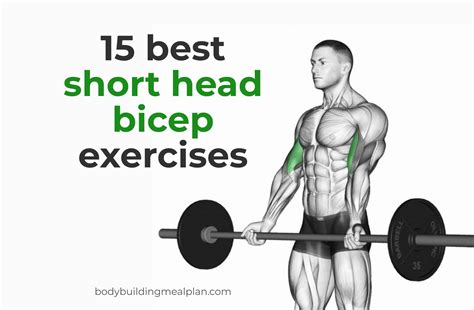 15 Short Head Bicep Exercises For Sleeve Busting Arms