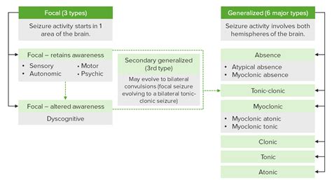 Seizures | Concise Medical Knowledge