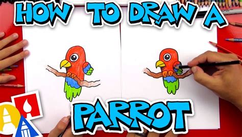 How To Draw A Cartoon Parrot Perched | Art For Kids Hub