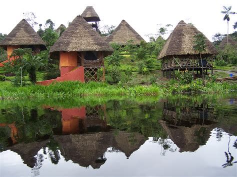 Spectacular experience in the Amazon Jungle in Ecuador - Visit Ecuador ...