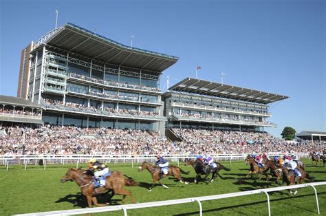 Your Expert Guide To Racing At York Racecourse | Racecourse, Yorkshire ...