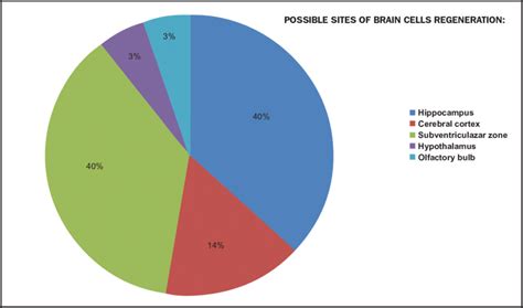 BRAIN STRUCTURES CAPABLE OF REGENERATION AFTER INJURY | Download Scientific Diagram