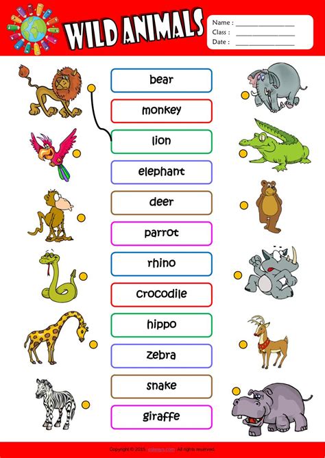 Wild Animals Kids Worksheet