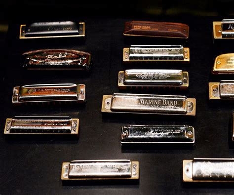 7 Types of Harmonica Every Learner Should Know | Harmonica, Harmonicas, Music and the brain