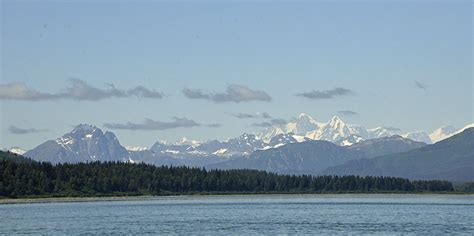 Wildlife of Glacier Bay | Journeys on a Trawler