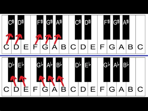 Sharps and Flats Explained - Piano Lessons For Beginners Accords - Chordify