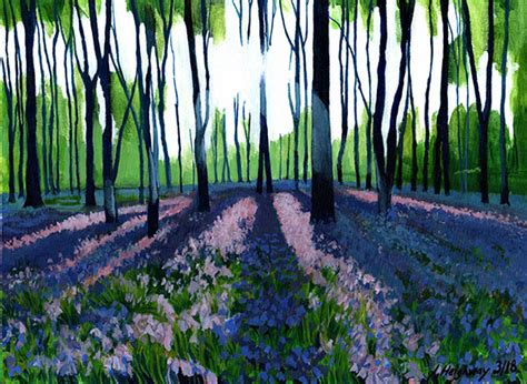 Bluebell Woods - Heighway Art