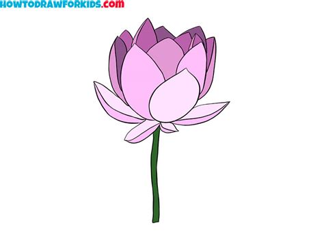 Pretty Lotus Flower Drawing 2 - Home Alqu