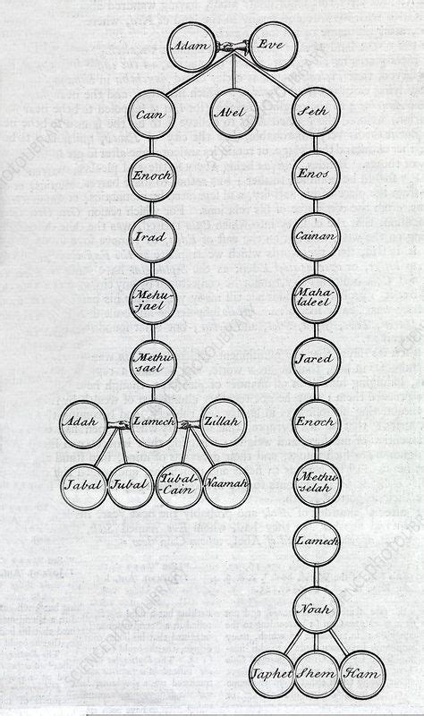 Adam and Eve Family Tree Diagram