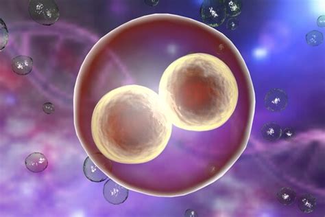 Biobanking Human Embryonic Stem Cells