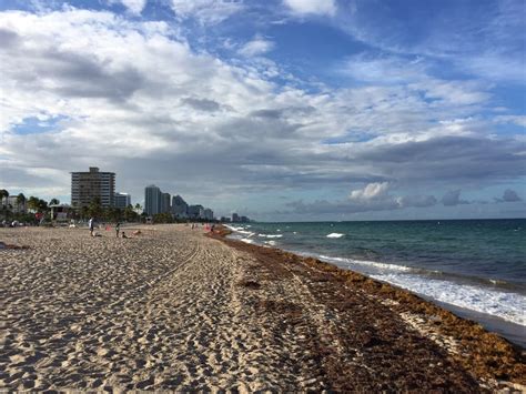 Fort Lauderdale Beach Park - Parks - Fort Lauderdale, FL - Photos - Yelp