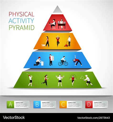 Physical activity pyramid infographic Royalty Free Vector