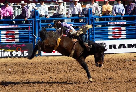 94th annual Tucson Rodeo schedule