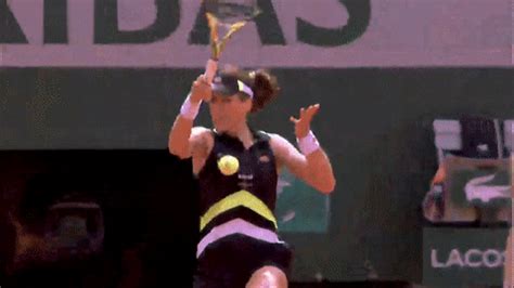 Tennis Ball GIFs - Find & Share on GIPHY