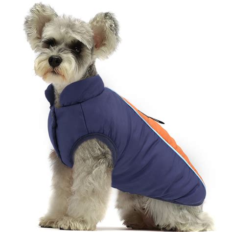 Icy Hot: Unleash the Coolest Dog Coatsicle Buying Guide for Your Furry Friend! - Furry Folly