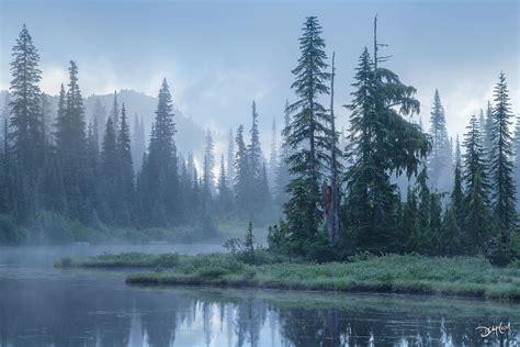 Spectacular Tree Photography Gallery | Dean McLeod Photography